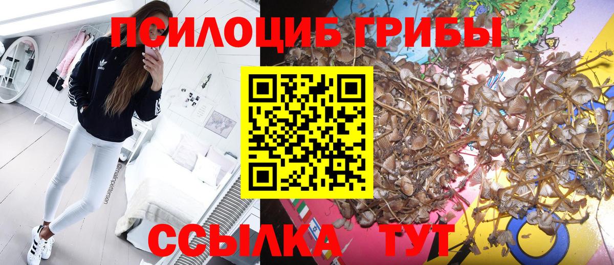 даркнет сайт  Галлюциногенные грибы мицелий  Вход с VPN  Нижний Тагил 